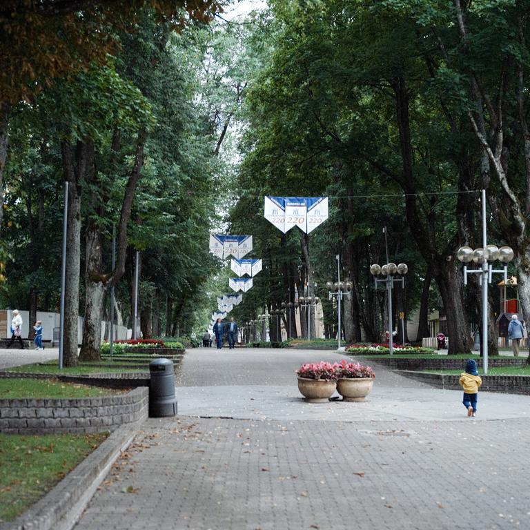 Domi Lini Daire Druskininkai Dış mekan fotoğraf